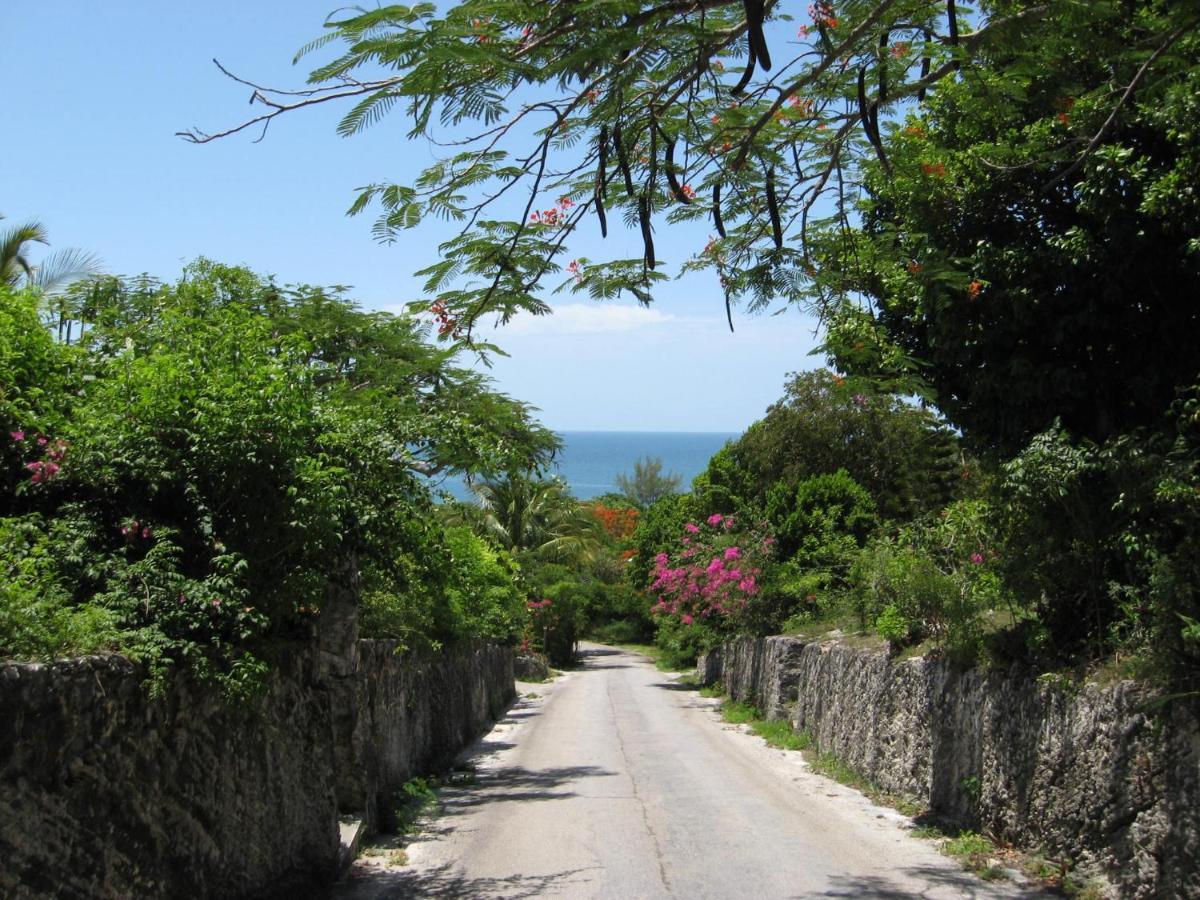 Pink Sand Cottage Cottage North Palmetto Point ภายนอก รูปภาพ