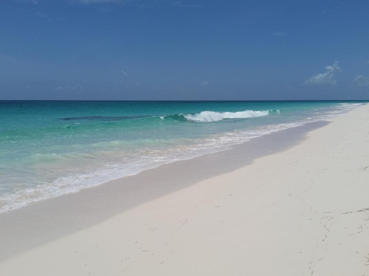 Pink Sand Cottage Cottage North Palmetto Point ภายนอก รูปภาพ